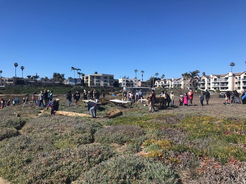 Kendall-Frost Mission Bay Marsh Reserve