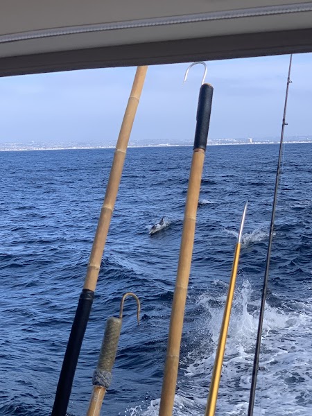 King Triton Sport Fishing Charters