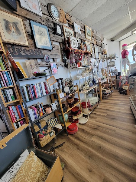 Kit N Caboodle Thrift Store