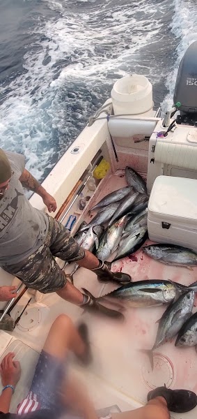Kraken Sportfishing