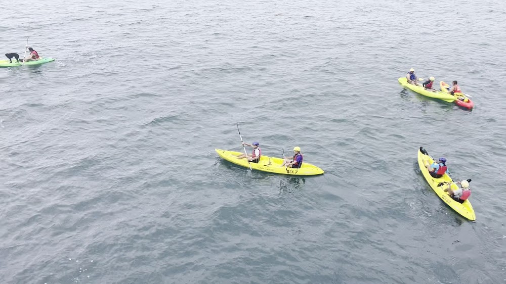 La Jolla Sea Cave Kayaks