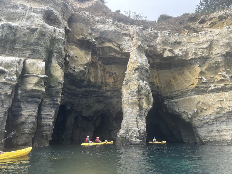 La Jolla Sea Cave Kayaks