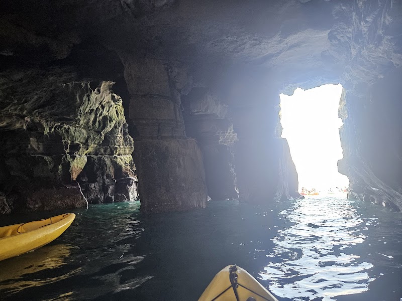 La Jolla Sea Cave Kayaks