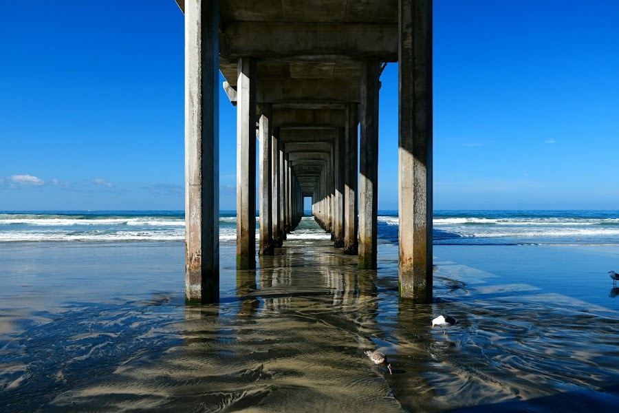 La Jolla Shores Park