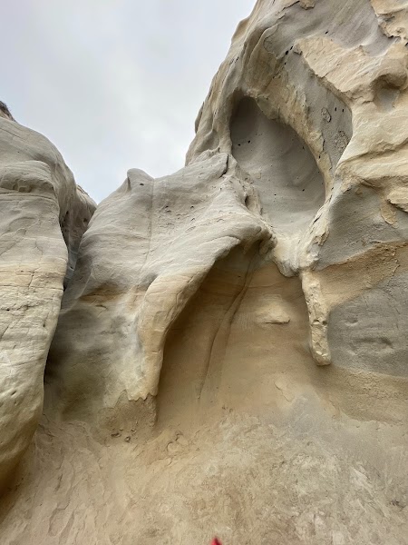 La Jolla Trail