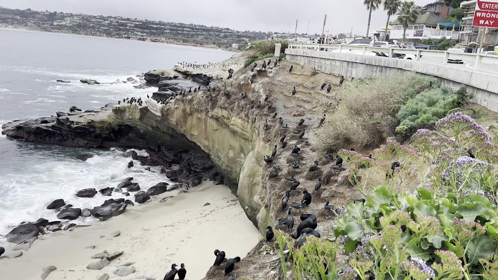 La Jolla Trail