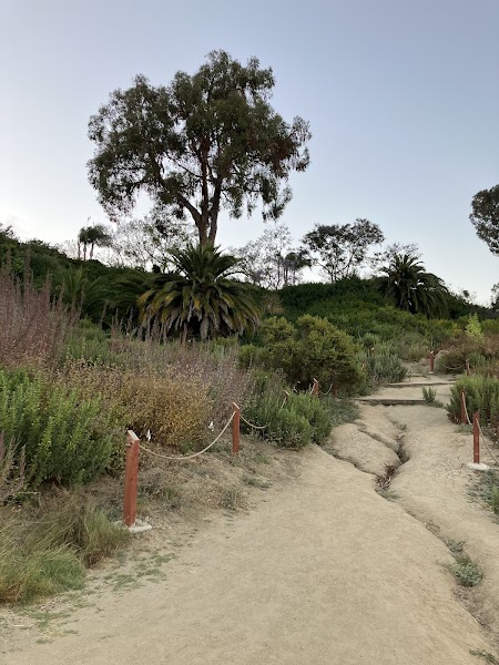 Lagoon Trail At Pelican Road