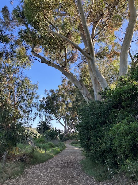 Lagoon Trail At Pelican Road
