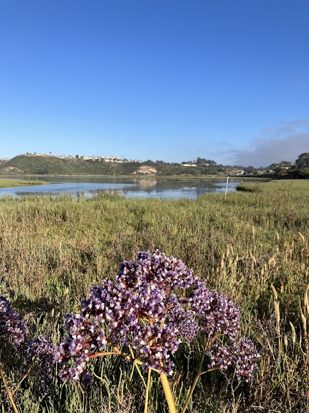 Lagoon Trail At Pelican Road