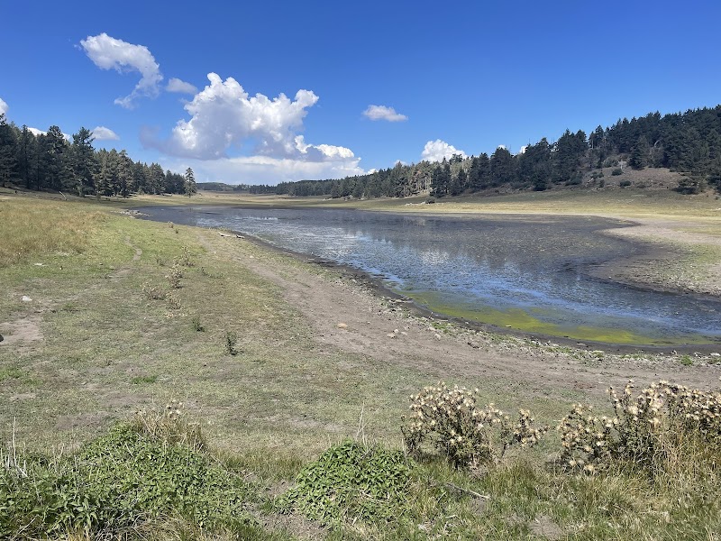 Laguna Campground
