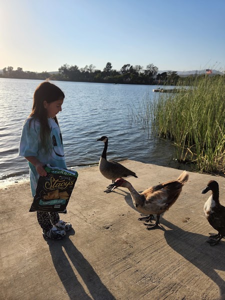 Lake O'Neill Recreational Checkout