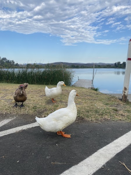 Lake O'Neill Recreational Checkout