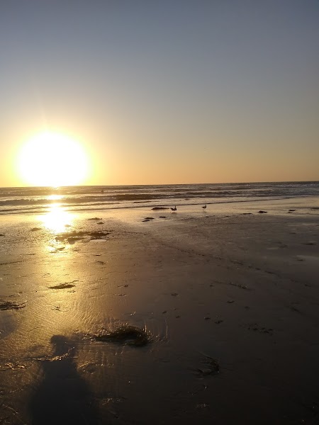 Law Street Beach