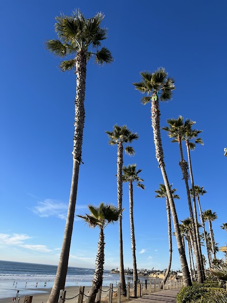 Law Street Beach