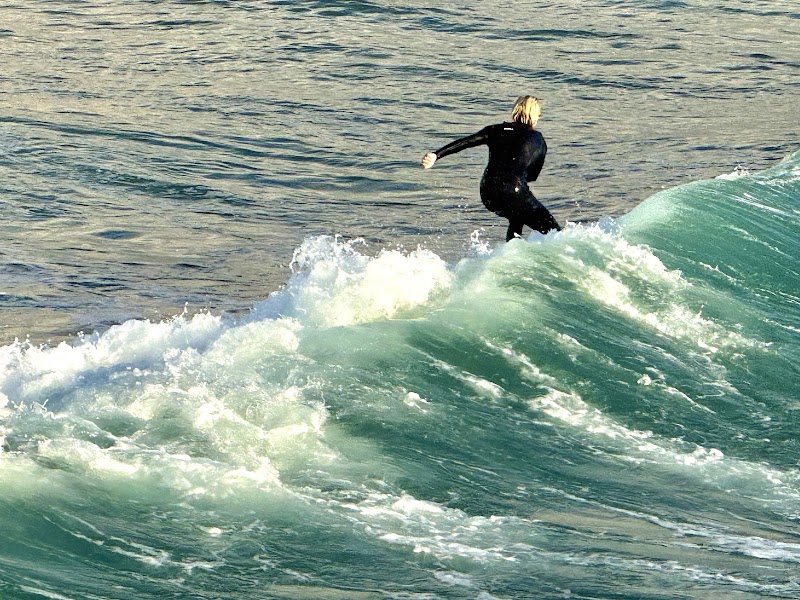 Learn to Rip Surf Lessons