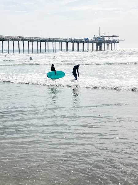 Learn To Surf