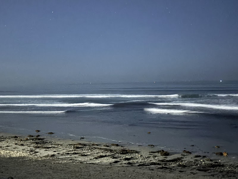Learn to Surf