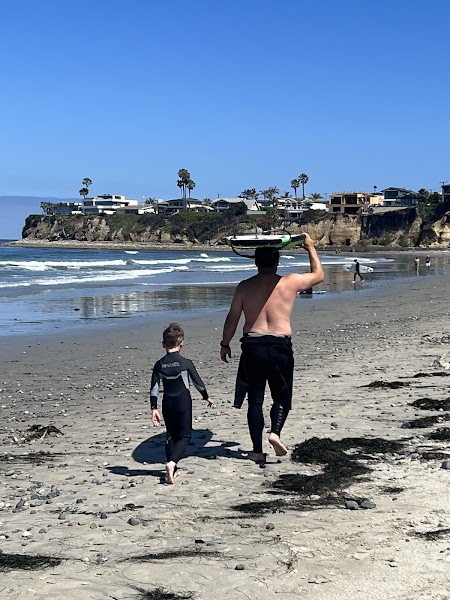 Learn To Surf