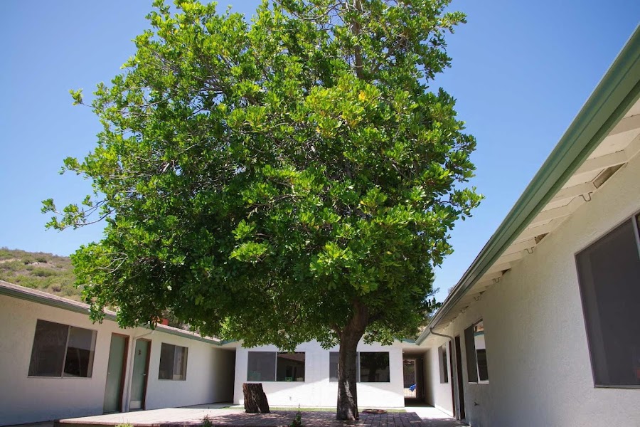 Legacy Montessori School