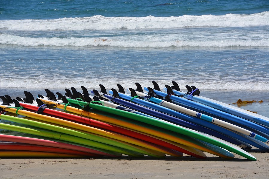 Leucadia Surf School