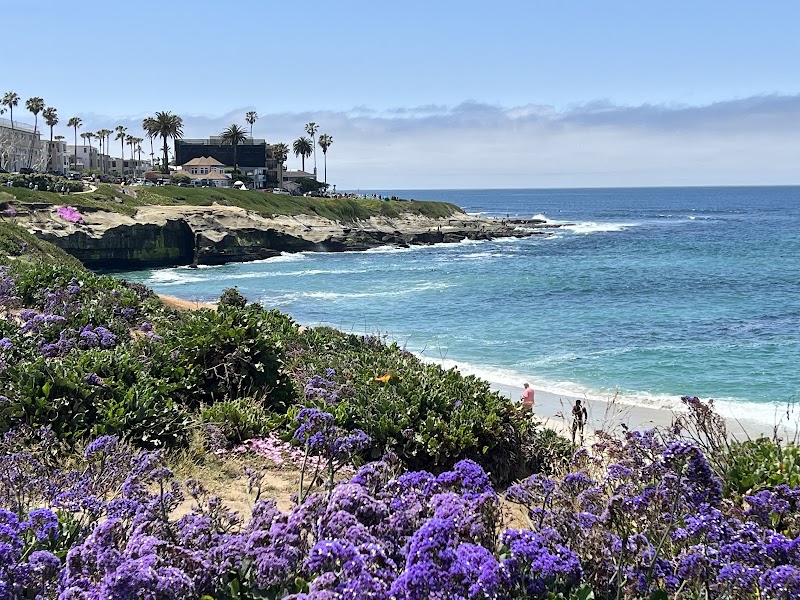 Lifeguard La Jolla Cove