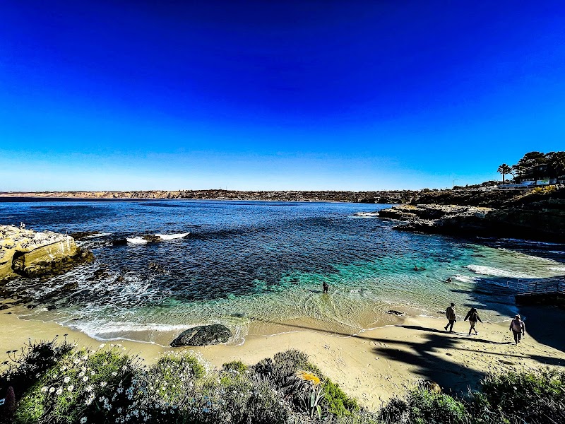 Lifeguard La Jolla Cove