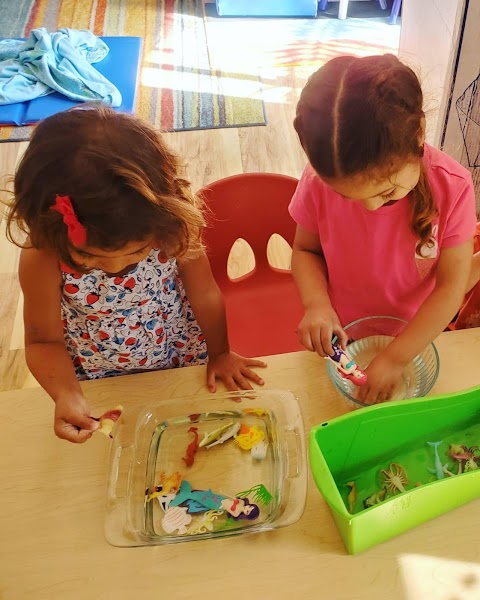 Little Birdies Daycare
