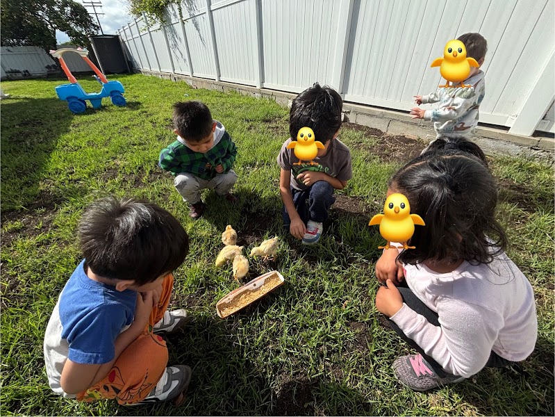 little Dreamers Learning Center