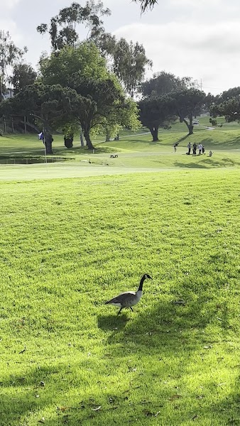 Lomas Santa Fe Executive Golf Course
