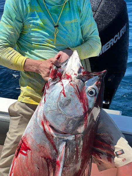Long Range Sport Fishing