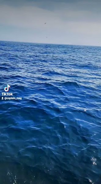 Long Range Sport Fishing