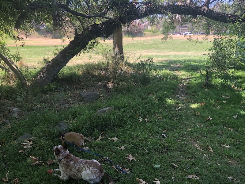 Lonny Brewer County Dog Park