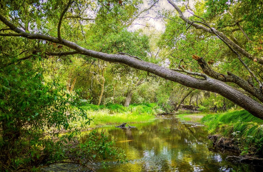 Los Penasquitos Canyon County Preserve