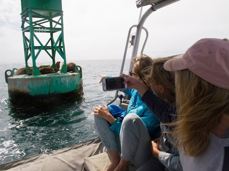 Makai Tours San Diego
