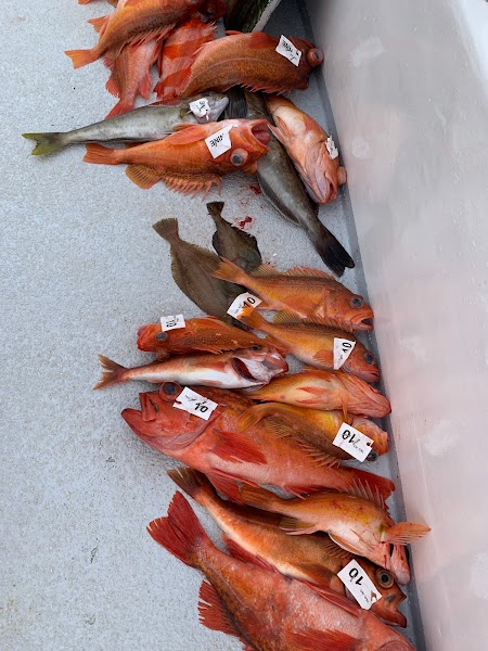 Malihini Sportfishing