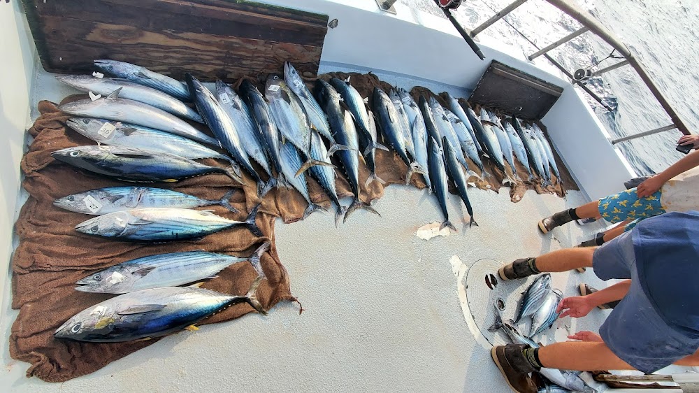 Malihini Sportfishing