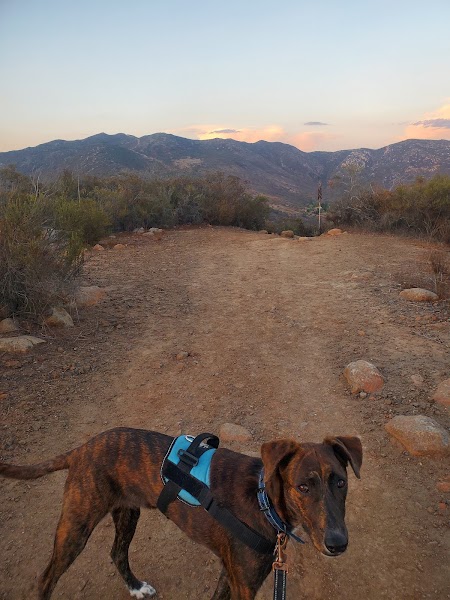 McGinty Mountain Trailhead