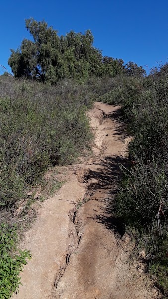 McGinty Mountain Trailhead