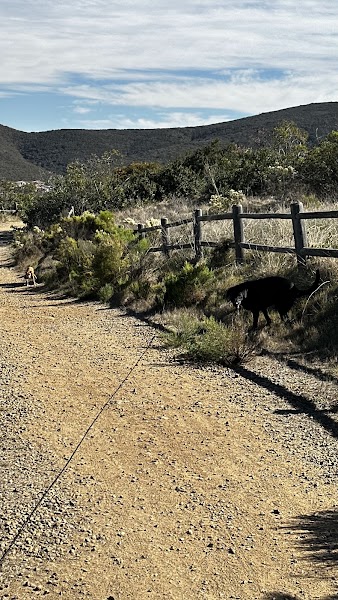 Miner's Ridge Loop Trail