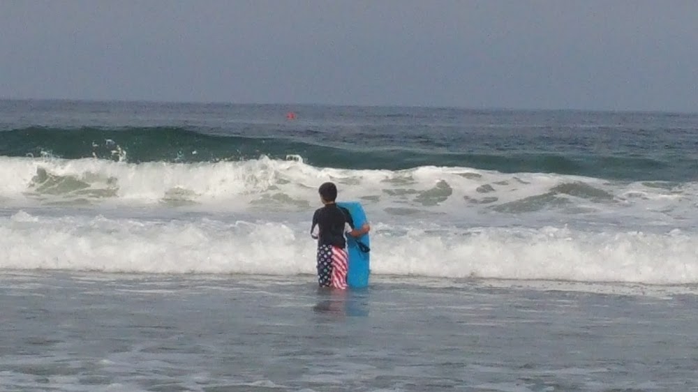 Mission Beach Surf & Skate