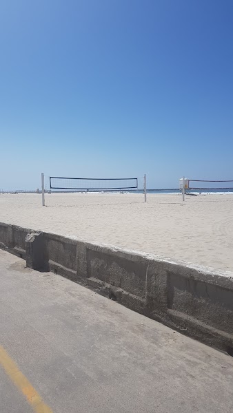 Mission Beach Surfing School