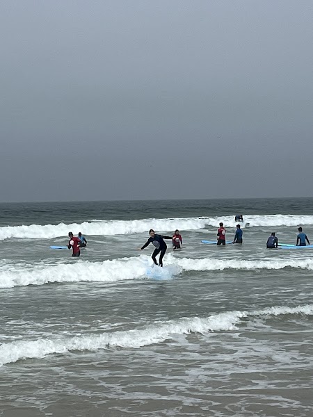 Mission Beach Surfing School
