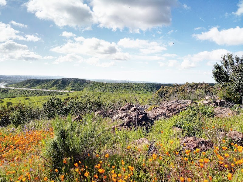 Mission Trails Rim Trailhead - San Diego, CA | Business Directory