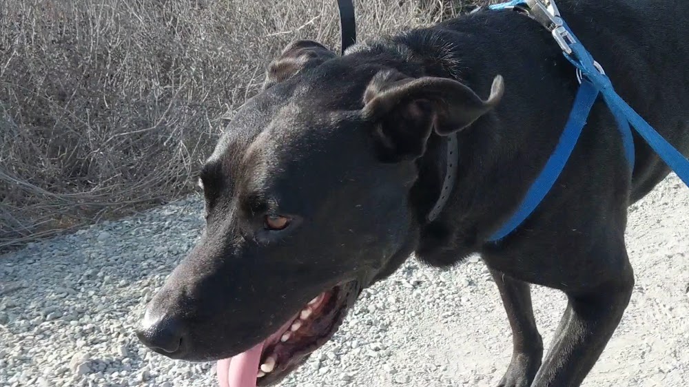 Mission Trails Rim Trailhead
