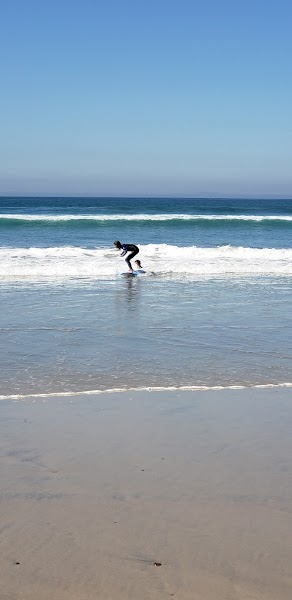 Moonlight Beach Surf Camps