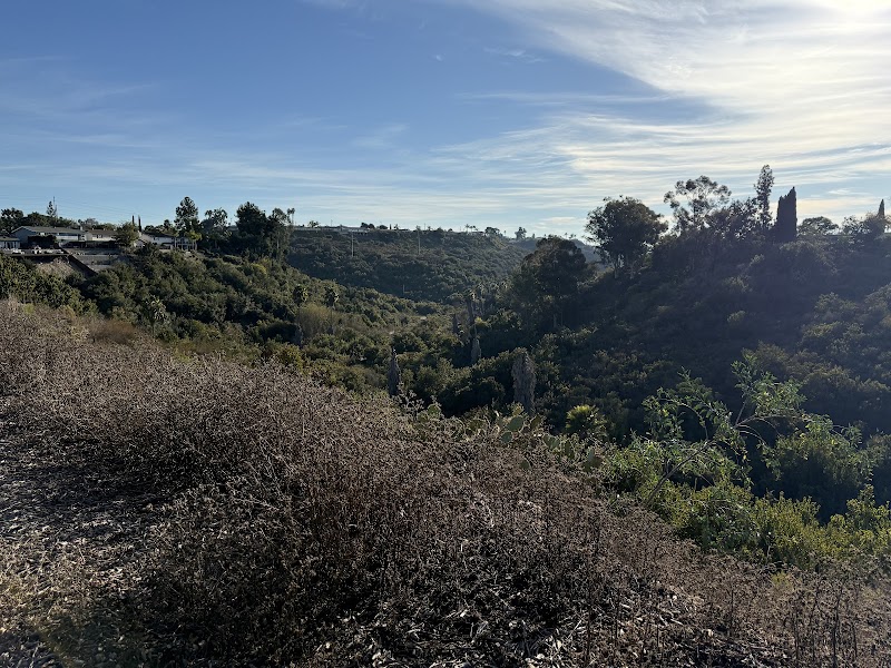 Navajo Canyon