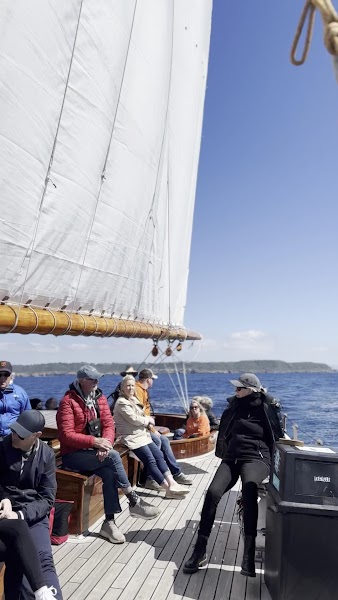 Next Level Sailing - San Diego Whale Watching & Private Yacht Charters