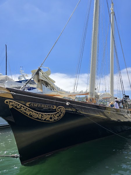 Next Level Sailing - San Diego Whale Watching & Private Yacht Charters