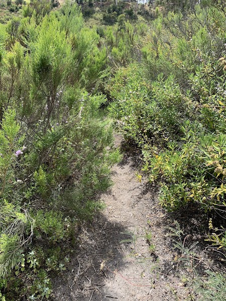North Rueda Canyon
