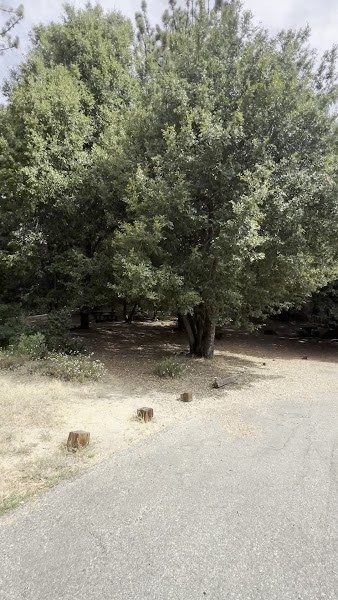 Observatory Campground